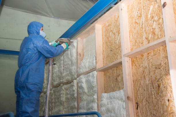 Best Energy-Efficient Insulation  in Orchard Mesa, CO