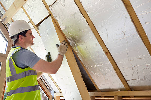 Best Best Insulation Companies  in Orchard Mesa, CO